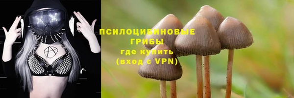 а пвп мука Алзамай