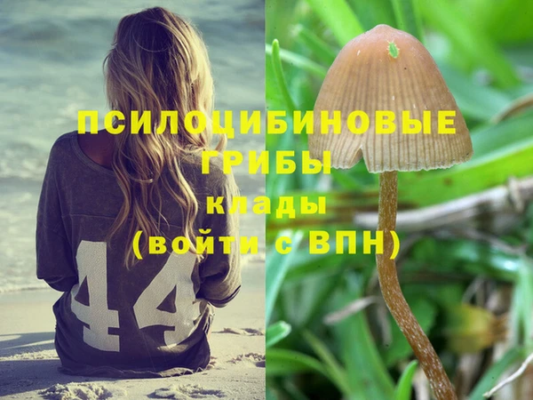 ешки Алексеевка