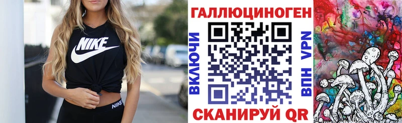Псилоцибиновые грибы Psilocybine cubensis  Спасск 